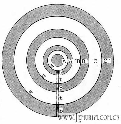 亚特兰蒂斯地形图.jpg