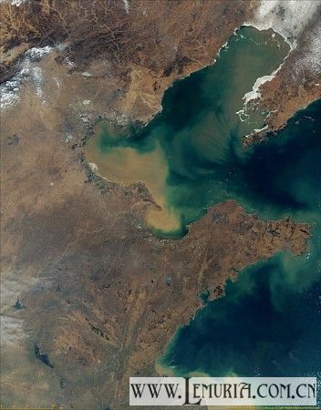 黄河入海口.jpg