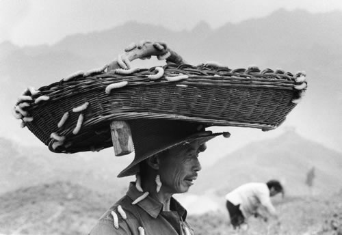 19.养殖柞蚕的乡民.jpg