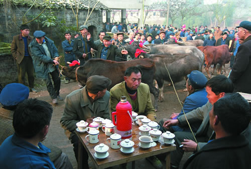 42.牛市开市后.jpg