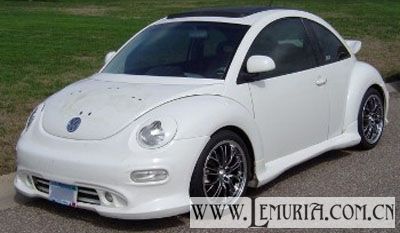 VW Beetle2.jpg